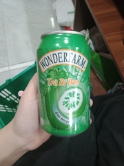 Trà Bí Đao Wonderfarm 310ml