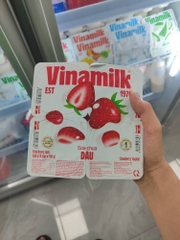 Sữa chua VNM dâu 100g