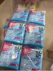 Diana siêu thấm cool fresh siêu mỏng có cánh 8m