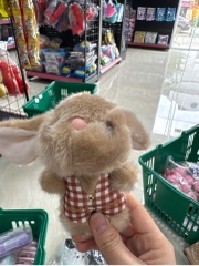 Móc khoá gấu bông tai thỏ dài mặc áo  MK118