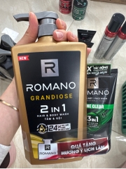 Tắm gội 2 trong 1 Romano Grandiose