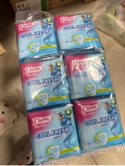Diana siêu thấm cool fresh siêu mỏng không cánh 8m