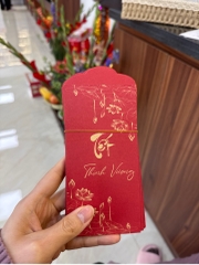 Set 10 bao lixi tết đỏ