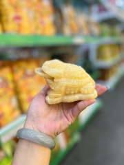 Q12 - Thiềm thừ hoàng long nhỏ