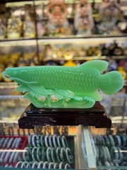 CÁ RỒNG PHONG THUỶ