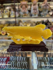 CÁ RỒNG PHONG THUỶ