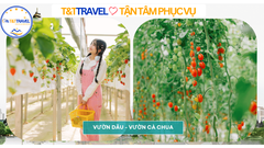 TOUR ĐÀ LẠT 3N3Đ TRỌN GÓI SIÊU TIẾT KIỆM 2026|XE GIƯỜNG NẰM