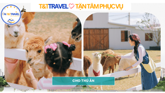 TOUR ĐÀ LẠT 3N3Đ TRỌN GÓI SIÊU TIẾT KIỆM 2026|XE GIƯỜNG NẰM