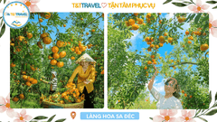 TOUR LÀNG HOA SA ĐÉC 1 NGÀY SIÊU TIẾT KIỆM 2026