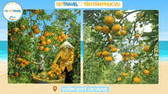 TOUR LÀNG HOA SA ĐÉC 1 NGÀY SIÊU TIẾT KIỆM 2026