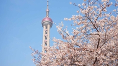 Hồ Chí Minh - Thượng Hải - Bắc Kinh - Hàng Châu - Ô Trấn 7N6Đ