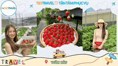 TOUR DU LỊCH ĐÀ LẠT - PHAN THIẾT SIÊU TIẾT KIỆM 2026