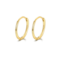 Essential Slim Hoop Earrings | Khuyên Tai Sterling Silver 925 Phủ Bạch Kim/Vàng 18K