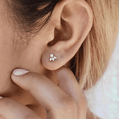 Dainty Mix Piercing | Khuyên Tai Sterling Silver 925 Phủ Bạch Kim/Vàng 18K