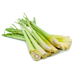 SẢ TƯƠI