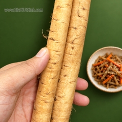 CỦ NGƯU BÀNG TƯƠI 1KG (NGUYÊN CÂY)