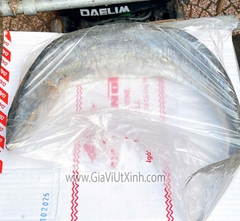 MẮM CÁ THU MUỐI DÙI NGUYÊN CON - TRÊN 1,5KG (MUỐI VÙI) A220