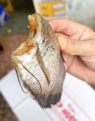 KHÔ CÁ SẶC BỔI CÀ MAU 8 CON/1KG – KHÔNG ĐẦU – SIZE TO DÀY THỊT – A370