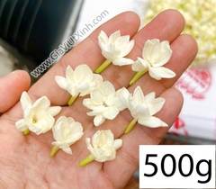 BÔNG HOA LÀI TƯƠI NỞ TO 100G- 250G- 500G – HOA NHÀI THƠM ĐẬM