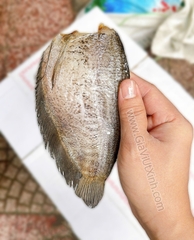 KHÔ CÁ SẶC BỔI CÀ MAU 8 CON/1KG – KHÔNG ĐẦU – SIZE TO DÀY THỊT – A370