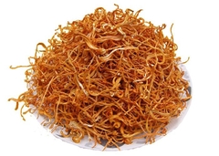 BÔNG ĐÔNG TRÙNG HẠ THẢO 100G - TRÙNG THẢO HOA  - KIM TRÙNG THẢO - JIN CHONG CAO