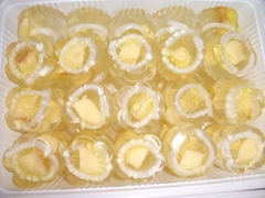 BỘT RAU CÂU CON CÁ THÁI LAN 25G - 50G PLATAPIANTONG