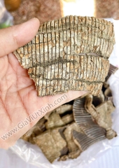 ĐỖ TRỌNG BẮC (DA RẮN) - NGUỒN LAI CHÂU 500G - 1KG -- THUỐC BẮC