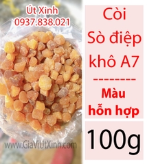 CỒI (CÒI)  SÒ ĐIỆP KHÔ 100G - 250G - 500G - SCALLOP ADDUCTOR MUSCLE - A7 (MÀU HỖN HỢP)
