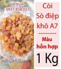 CỒI SÒ ĐIỆP KHÔ 1KG - SCALLOP ADDUCTOR MUSCLE - A7 (MÀU HỖN HỢP)