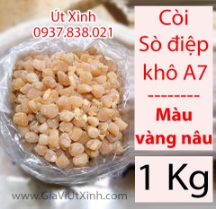 CỒI (CÒI) SÒ ĐIỆP KHÔ 1KG - SCALLOP ADDUCTOR MUSCLE - A7 (MÀU VÀNG NÂU)