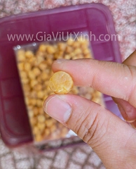 CỒI (CÒI) SÒ ĐIỆP NHẬT KHÔ 500G - SCALLOP ADDUCTOR MUSCLE - MÃ A115