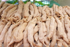 CỦ CẢI MUỐI 1KG