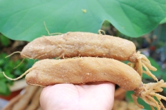 CỦ CẢI MUỐI 1KG