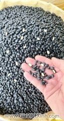 ĐÂU ĐEN ĐÀ LẠT TRẮNG LÒNG 1KG - HẠT TO BÉO, VỊ THƠM NẤU CHÈ, NẤU SÚP