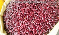 ĐẬU ĐỎ ĐẬM TÂY ĐÀ LẠT (ĐẬU TÍM) 1KG - ĐẬU THẬN - HẠT TO DÀI NẤU CHÈ
