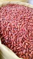 ĐÂU ĐỎ TÂY ĐÀ LẠT 1KG- ĐẬU THẬN- HẠT TO DÀI NẤU CHÈ, NẤU SÚP