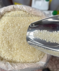 ĐƯỜNG VÀNG BẾN TRE HẠT TO – NGUYÊN CHẤT – 12KG NGUYÊN CÂY