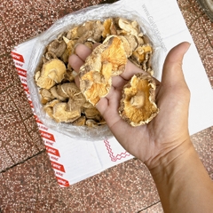 NẤM ĐÔNG CÔ KHÔ SIZE CỰC ĐẠI 500G- 1KG – TAI KHỔNG LỒ – MÃ A180