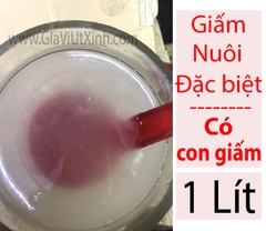 GIẤM NUÔI ĐẶC BIỆT 1 LÍT - FRUIT VINEGAR - BANANA VINEGAR