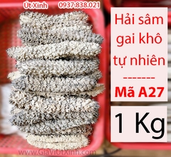 HẢI SÂM GAI KHÔ TỰ NHIÊN 500G - 1KG - LOẠI A27 CAO CẤP