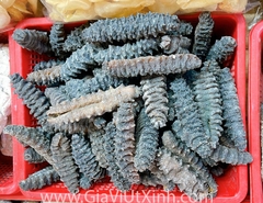 HẢI SÂM KHÔ GAI ĐEN CHILE 500G - 1KG - LOẠI A38 NHẬP KHẨU