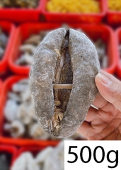 HẢI SÂM LỰU DA TRƠN 500G - 1KG - LOẠI A26 CAO CẤP