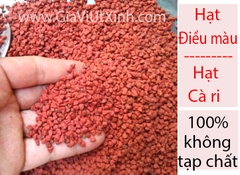 HẠT ĐIỀU MÀU 50G - 100G - 250G - HẠT CÀ RI - HẠT ĐIỀU ĐỎ