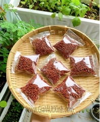 HẠT ĐIỀU MÀU 50G - 100G - 250G - HẠT CÀ RI - HẠT ĐIỀU ĐỎ