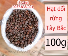 HẠT DỔI RỪNG TÂY BẮC 50G - 100G - 250G - 1KG - MICHELIA TONKINENSIS A. CHEV