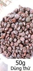 HẠT DỔI RỪNG TÂY BẮC 50G - 100G - 250G - 1KG - MICHELIA TONKINENSIS A. CHEV