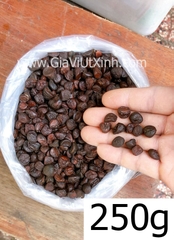 HẠT DỔI RỪNG TÂY BẮC 50G - 100G - 250G - 1KG - MICHELIA TONKINENSIS A. CHEV