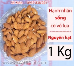 HẠT HẠNH NHÂN SỐNG 1KG - CÓ VỎ LỤA, NGUYÊN HẠT, LÀM SỮA, MÓN NƯỚNG