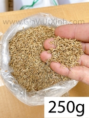 HẠT THÌ LÀ CUMIN 100G- 250G- 500G – CUMIN WHOLE ẤN ĐỘ – HẠT XIROM NGUYÊN CHẤT