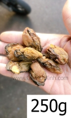 HÀU KHÔ (SIZE ĐẠI) 100G - 250G - 500G - HÀU TƯƠI SẤY KHÔ - DRY OYSTERS